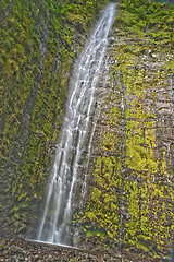 Image showing Waimoku Falls in Maui Hawaii