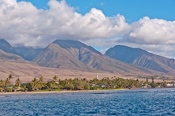 Image showing Maui Shore