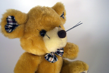 Image showing toy bear with bowtie
