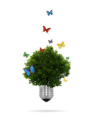 Image showing eco concept: Lightbulb with tree growing inside 