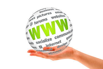 Image showing Hand holding a WWW 3D Sphere 