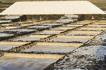 Image showing Salt marsh