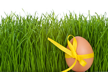 Image showing easter egg and grass