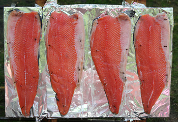 Image showing salmon