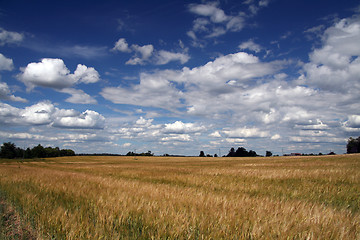 Image showing Landscape