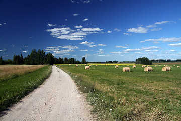 Image showing landscape