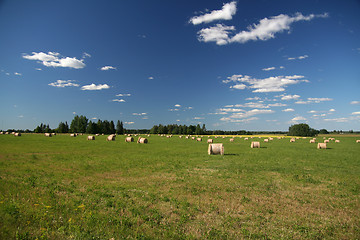 Image showing Landscape