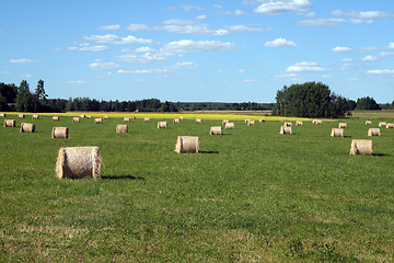 Image showing Landscape