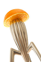 Image showing Orange Juicer