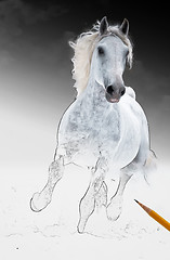 Image showing runs white horse get living from arts scetch