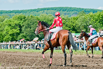 Image showing jockey on racing horse before the start