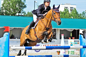 Image showing Rider on jump horse