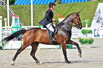 Image showing Rider on show jump horse