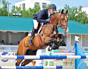 Image showing Rider on show jump horse