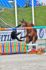 Image showing Rider on show jump horse