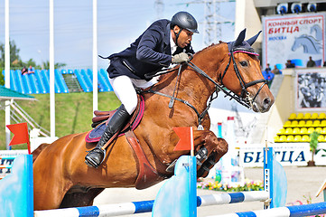 Image showing Rider on show jump horse