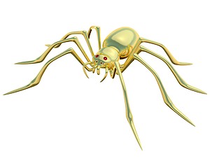 Image showing Gold spider