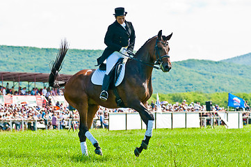 Image showing Equestrian sport. female dressage rider