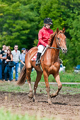 Image showing unknown jockey and horse after the finish line