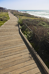 Image showing Wooden Walkway Along Ocean Coast