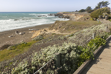 Image showing Wooden Walkway Along Ocean Coast