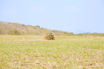 Image showing Tractor plows a field preparing for the rice grow up in Panama