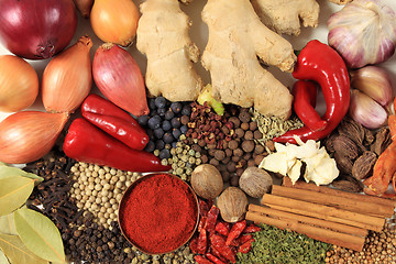 Image showing Spices and herbs