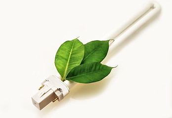 Image showing Eco lamp energy saving with green values concept