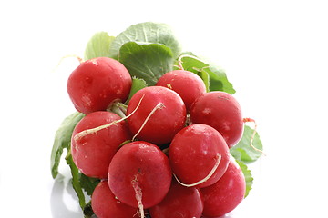 Image showing bunch of fresh radishes isolated