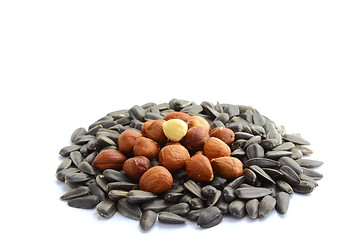 Image showing handful of sunflower seeds and hazelnuts