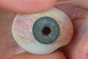 Image showing Glass eye