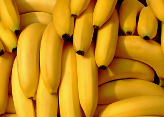 Image showing Bananas pile