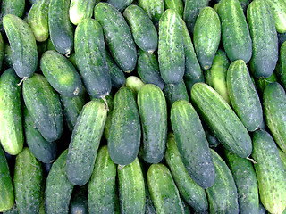 Image showing Fresh cucumbers