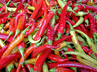 Image showing Hot chilly peppers