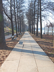 Image showing Path among trees