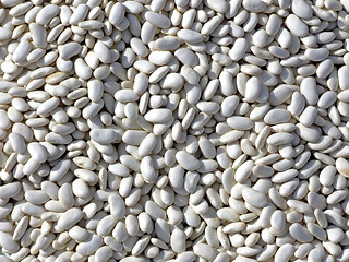 Image showing White kidney beans