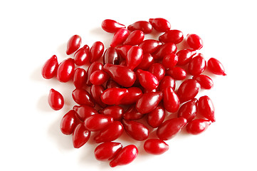 Image showing Ripe cornel berries