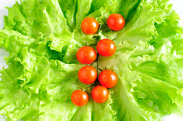 Image showing Cherry tomatoes and lettuce 