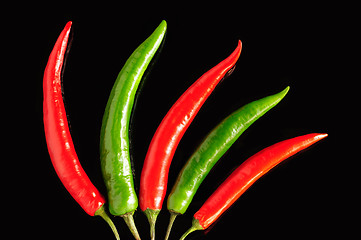 Image showing Chili pepper pods