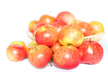 Image showing Ripe red-yellow apples