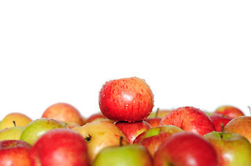 Image showing Ripe red-yellow apples