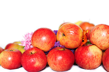 Image showing Apples and flowers