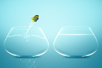 Image showing Anglefish jumping to Big bowl