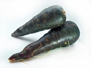 Image showing fresh black carrots 