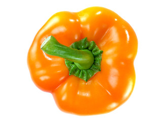 Image showing Orange Bell pepper