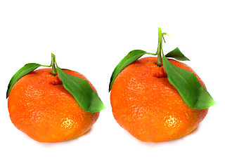 Image showing Fresh Tangerine 