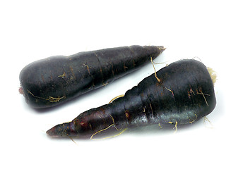 Image showing fresh black carrots 