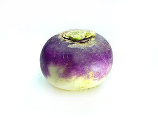 Image showing purple headed turnips on white background 