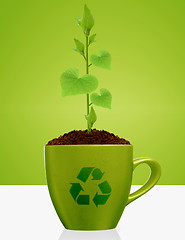 Image showing Young plant growing in green mug