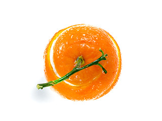 Image showing Peel of an orange